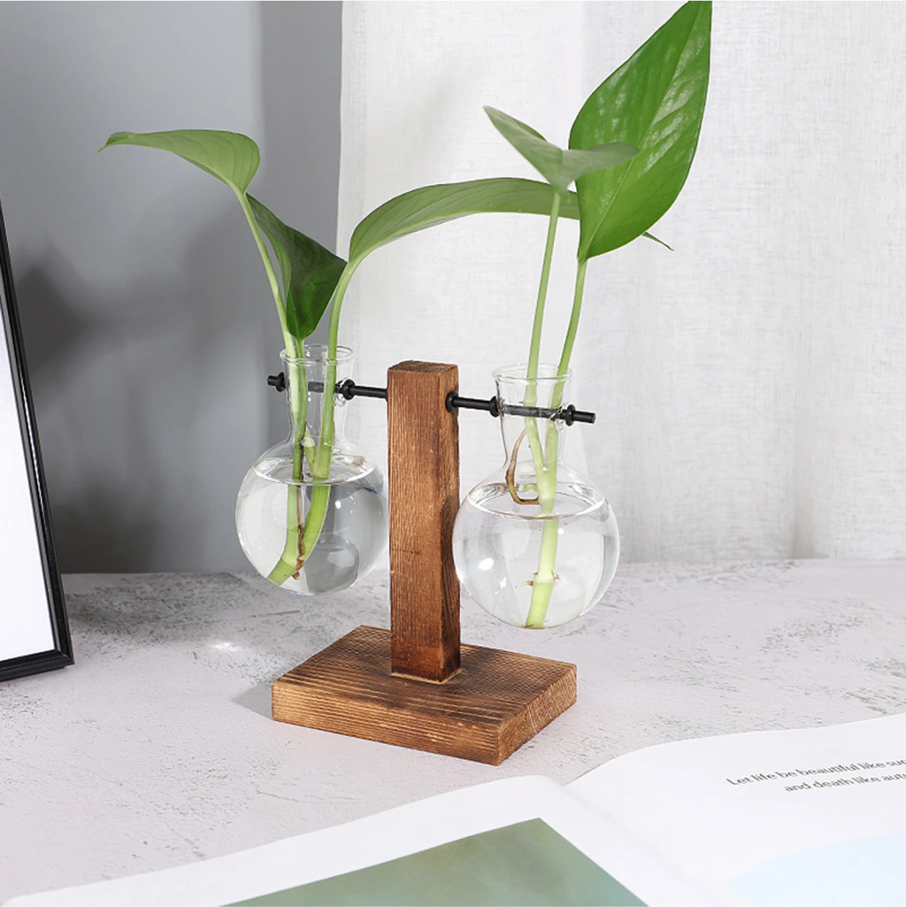 terrarium plant holder Plant Terrarium Transparent Bulb Vase